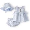 Blue Gingham